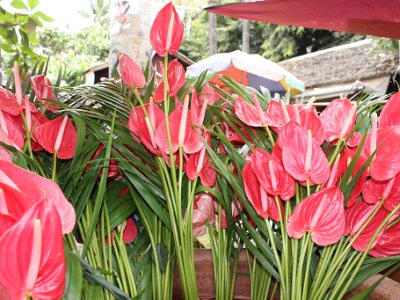 Mandalay, Myanmar November 27, 2013